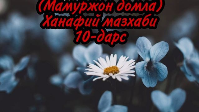 (Мамуржон домла) Ханафий мазхаби 10-дарс