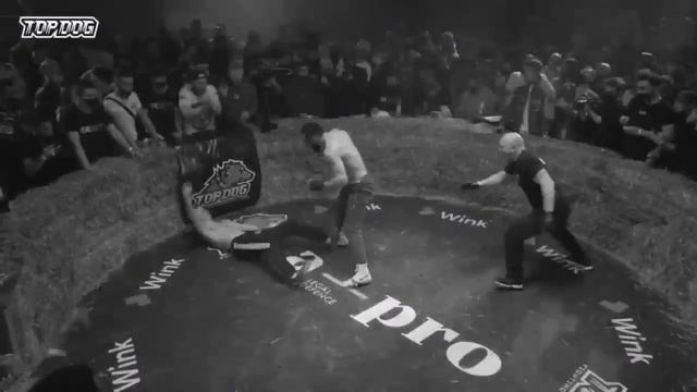 TOP DOG | Join The Cult. #кулачныебои #topdog #спорт