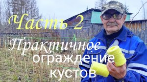 Часть 2 Практичное ограждение кустов, (малина)
