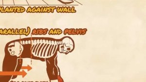 Отжимания Майк Тайсона: #сила #мощь и #памп всего тела!