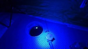 Один в палатке на зимнего леща. Разведка по старым местам Яузского водохранилища.