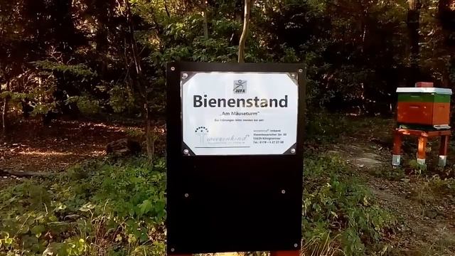 ОКРЕСТНОСТИ НАШЕГО ХОТЭЛЯ - ЮФА , В СЕМИГОРЬЕ/КЁНИГСВИНТЭР.HOTEL  JUFA , SIEBENGEBIRGE, KÖNIGSWINTE