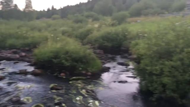 Таганай с Оранжевым Кедом 2020 киалимский кардон