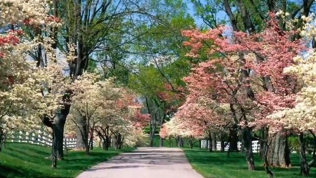 СКОРО ВЕСНА.... ПРЕМЬЕРА! 2025 🔥 ХИТ 🔥 #скоровесна , #весн смотреть онлайн