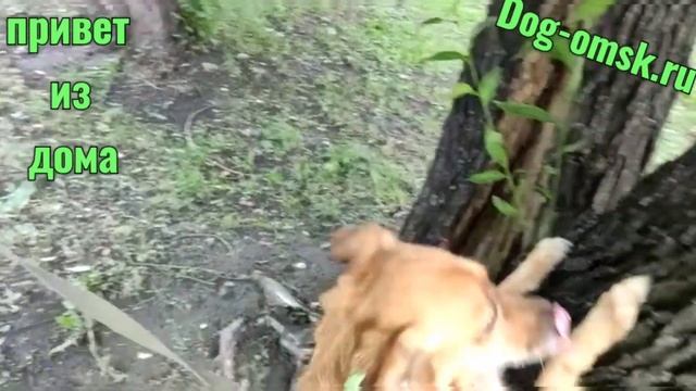 Привет от ЖАННЫ смотреть онлайн