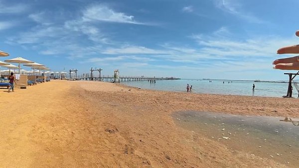 Египет 2025. ПОШЛА ЖАРА❗️КАК ЗДЕСЬ СЕЙЧАС? Pickalbatros Laguna Clu