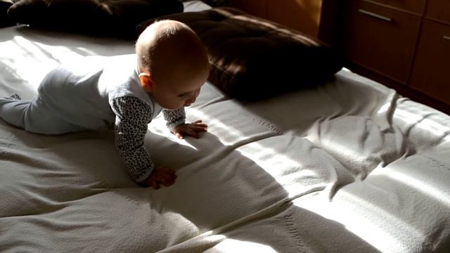 DSC 0505-очевидное -невероятное... смотреть онлайн