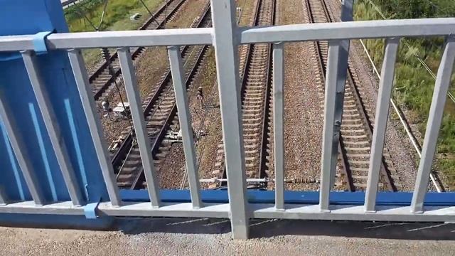 Новое путешествие - новая жизнь. Смерть мистера тапка. смотреть онлайн