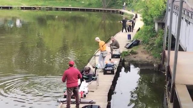 Спорт зона смотреть онлайн