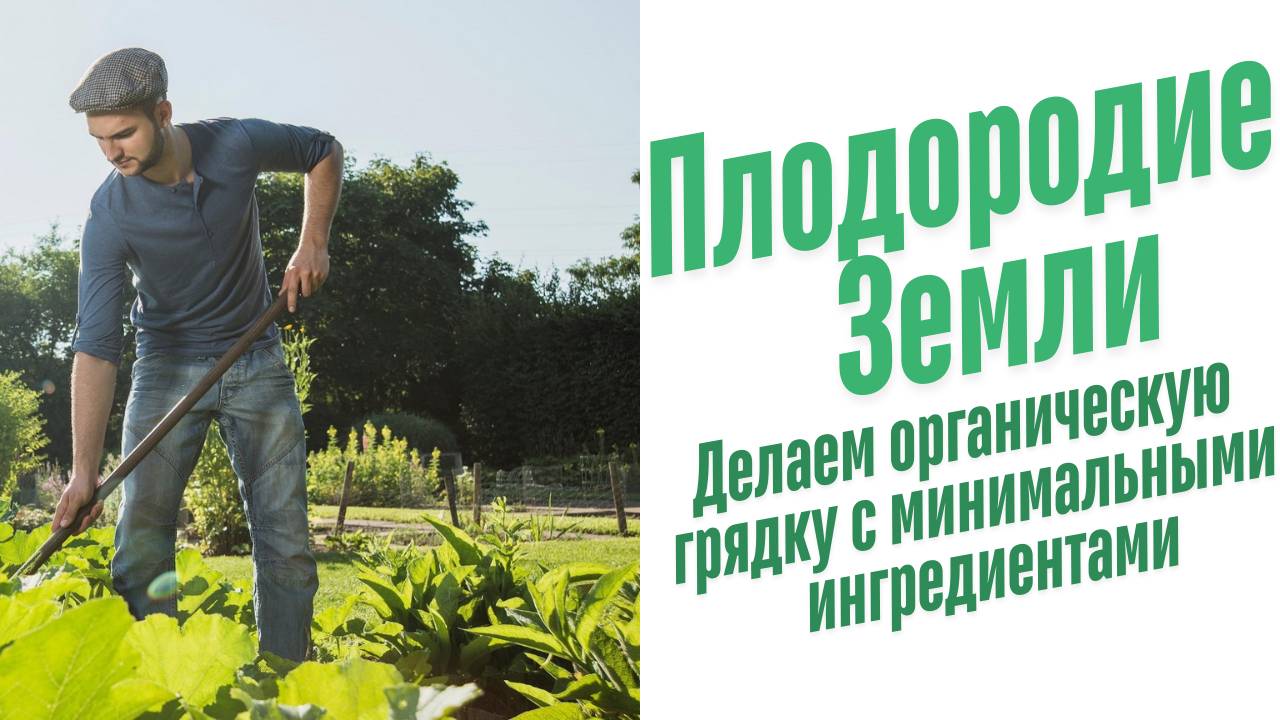 Как сделать плодородную грядку. смотреть онлайн