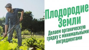 Как сделать плодородную грядку.