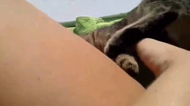 Девушка в купальнике и приставучая кошка