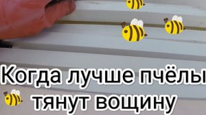 Когда пчелы лучше всего тянут вощину, покажу всё наглядно