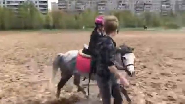 Рысь на Мышке5 мая смотреть онлайн