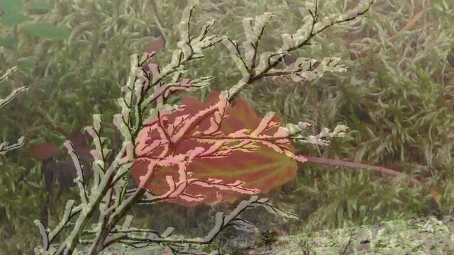 Вот и кончилась осень HD смотреть онлайн