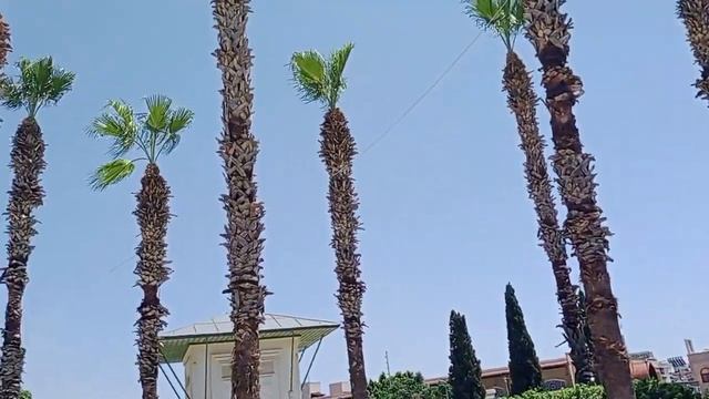 АНТАЛЬЯ. СКАЗОЧНЫЕ СВАДЕБНЫЕ ПЛАТЬЯ)) МЫ НАШЛИ БАНКОМА смотреть онлайн