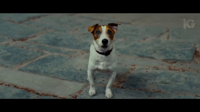 ЧТО СМОТРЕТЬ? Топ - 10 Российских Фильмов 2024 - 2025 смотреть онлайн