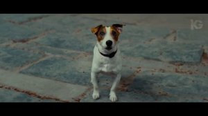 ЧТО СМОТРЕТЬ? Топ - 10 Российских Фильмов 2024 - 2025