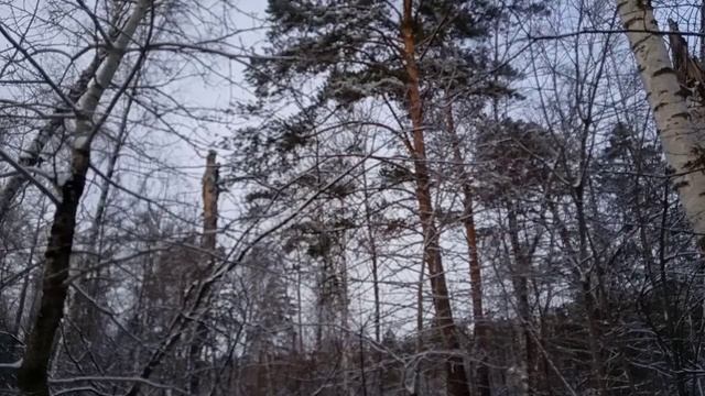 Завалило снегом, началась зима! А работы только прибавилось.