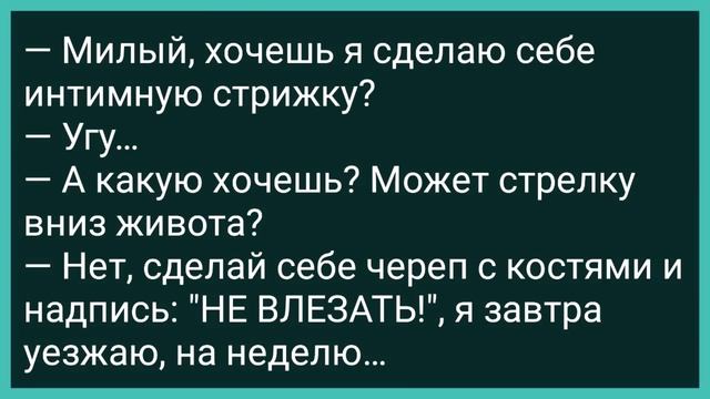 Как Барыня Мужа в Измене Уличить Хотела! Сборник Свежих Смешных Жизненных Анекдотов! смотреть онлайн