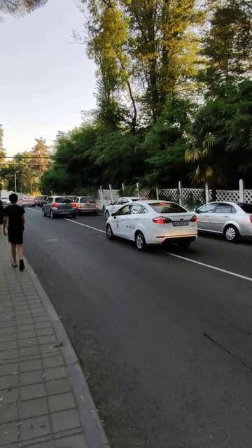 #Сочи #Пляж #Альбатрос #shorts