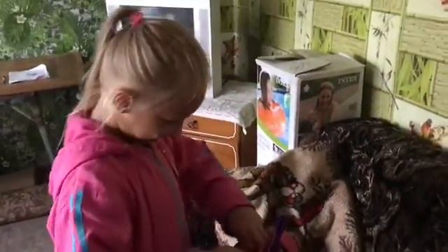Добруш. Рюкзачок от спасателей смотреть онлайн