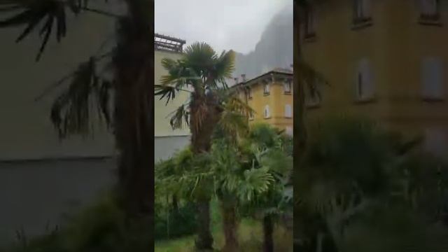 Душа мечтала о любви & Жанна Вельт