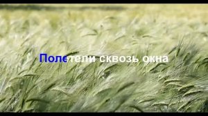 Ф.Киркоров  " Полетели"  КАРАОКЕ