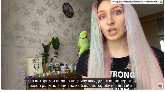 Размножение волнистых попугаев 🦜Как размножать попугаев в домашних условиях смотреть онлайн