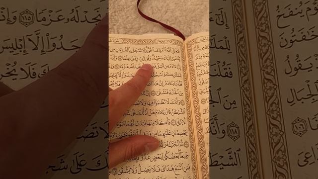 2 - Что не так с мусульманами. Должное уважение к Корану. Чтение и понимание. Следование Истине