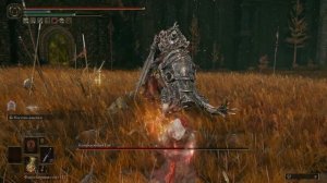 Elden Ring DLC - Командующий Гай (как быстро победить) | Shadow of the Erdtree