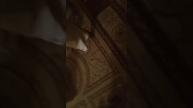 Сосун😂😂😂 смотреть онлайн
