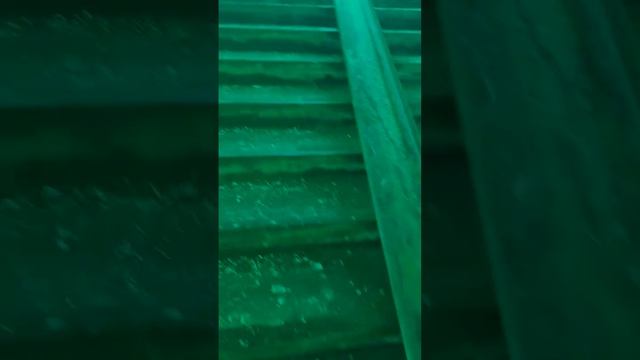 Саратов Заводской район