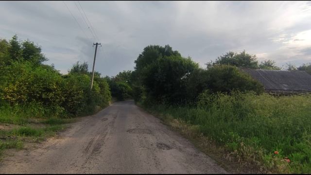 Мир вокруг нас.