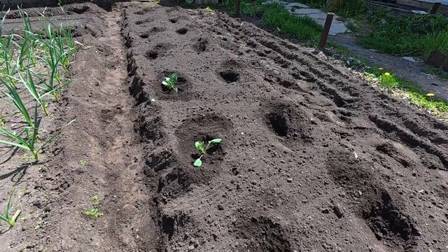 Просто жизнь. Огородный день смотреть онлайн