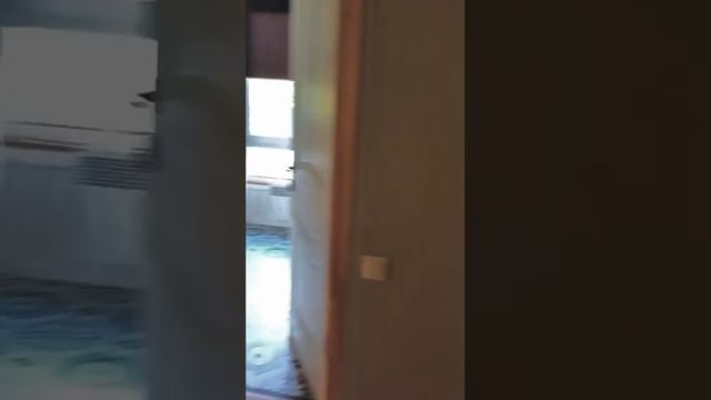 VID-20250517-WA0012 смотреть онлайн