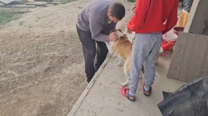 44 Новый этап жизни