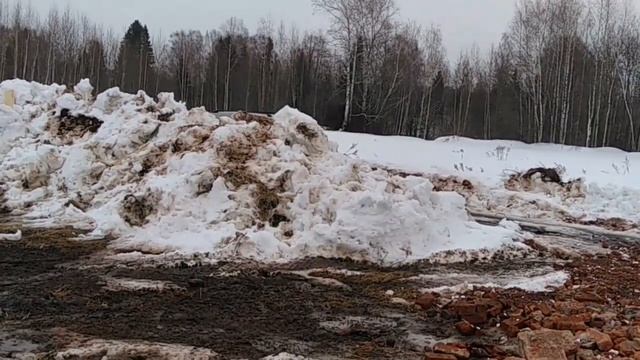 2019-01-Покупка Участка. Нежданчики.