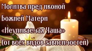 ОТ ВСЕХ ЗАВИСИМОСТЕЙ перед иконой Божией Матери «Неупиваемая Чаша»