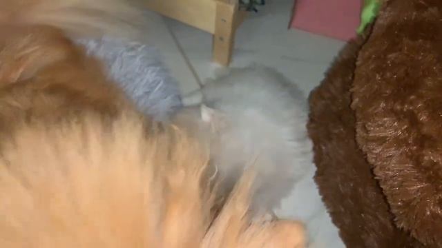 Всем наидобрейшего утречка и хорошего дня. смотреть онлайн