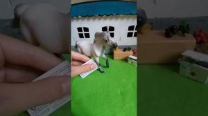 Обзор якутского жеребца от коллекта! 🐎