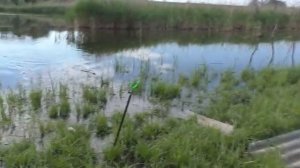 Рыбалка на карася  ЧЕСНОЧНАЯ КАША для рыбалки. My fishing