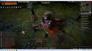 Black Desert 2025 - Лучшие споты БДО не для топ игроков