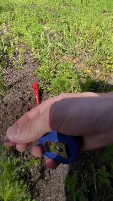 Для чего нужна проба почвы? #ландшафт #газон #лайфхак #советы #рулонныйгазон