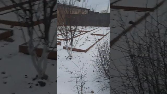 Жизнь в Российской деревне, после Германии.  Домик в деревне, в нашем случае квартирка.