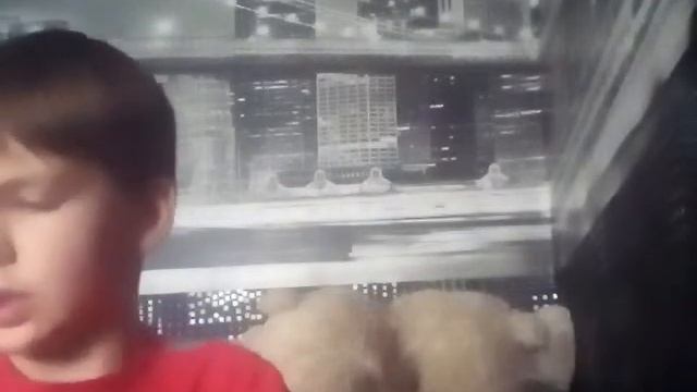 Большая ТАЙНА 🔥 Обзор на Мои рисунки и наклейки смотреть онлайн