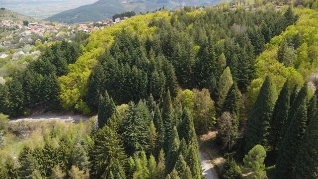 Местност Юч Бунар и Вековни Секвои