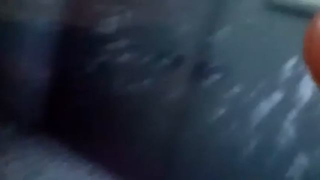 Чарли игра,смешной очень смотреть онлайн