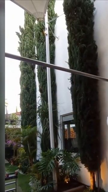 !САМЫЕ ЛУЧШИЕ 900 В МИРЕ! #shorts #shortvideo #subscribe #short смотреть онлайн