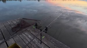 Попал на бешеный клев. Карпы и Амуры заставили вымотать удилища! Микро-насадка снова сработала!